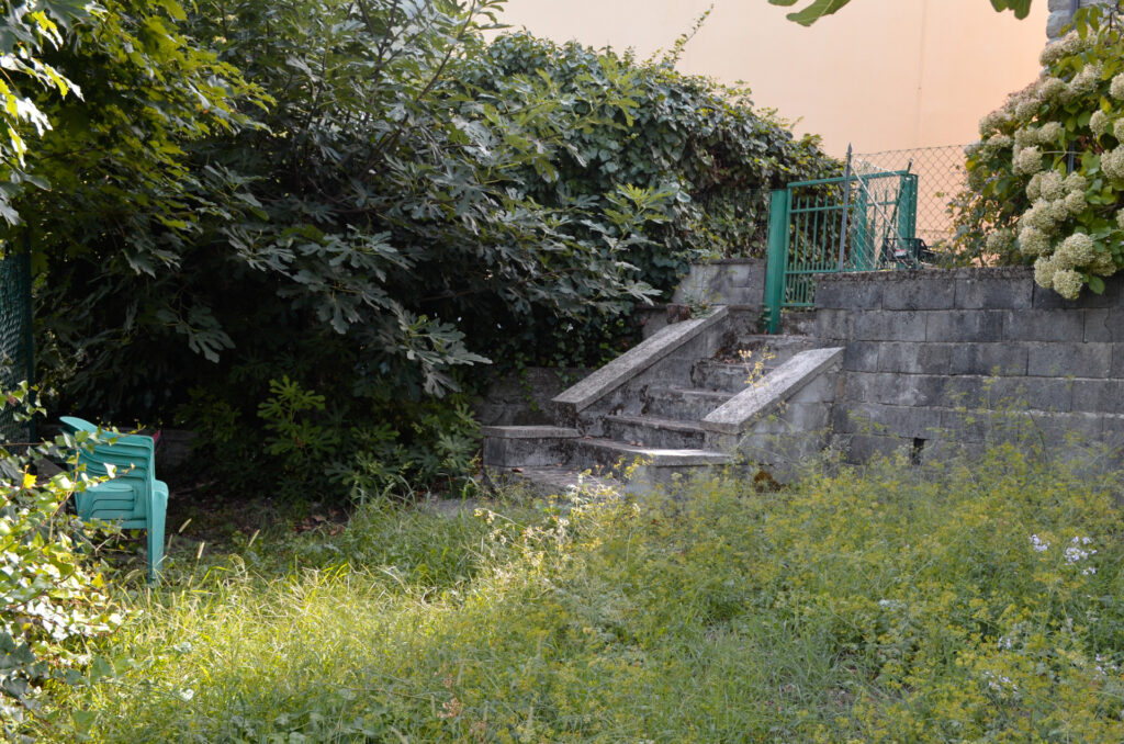 © Veronica Alessi Discover_it Lizzano in Belvedere