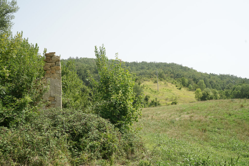 © Elisabetta Campagni Discover_it Lizzano in Belvedere