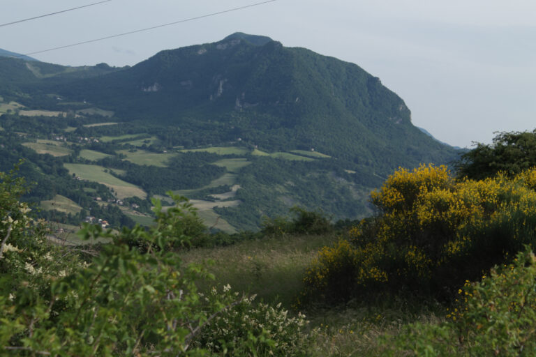 Leonelli_01