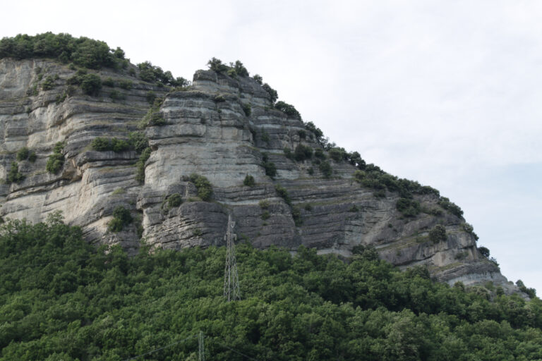 Leonelli_05