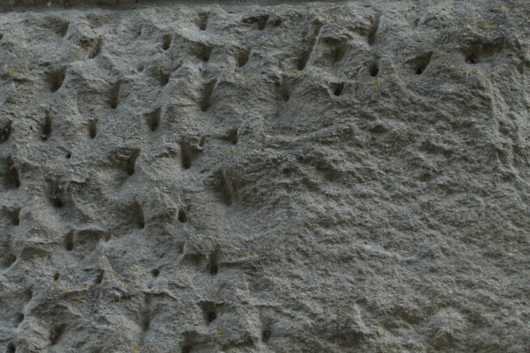 Leonelli_14