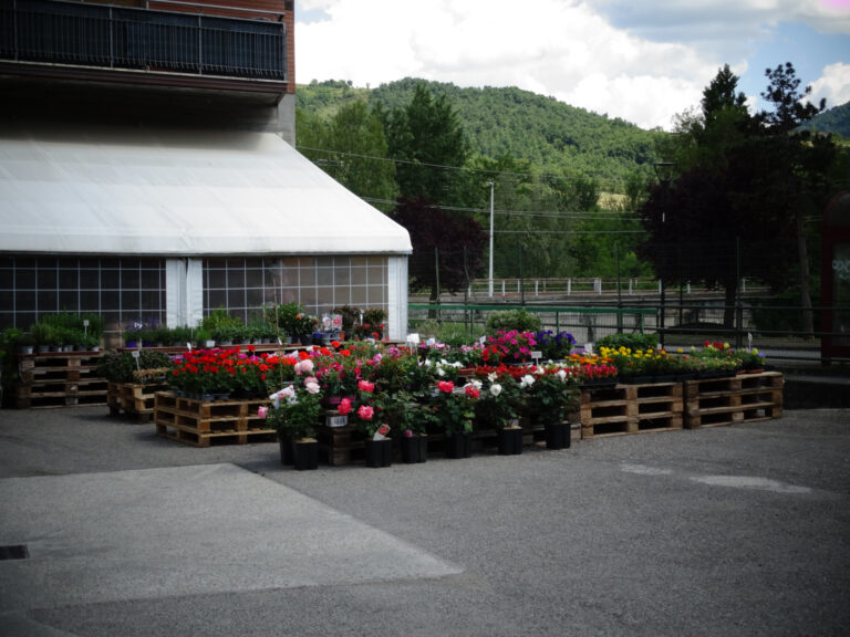 Sabbatini_05