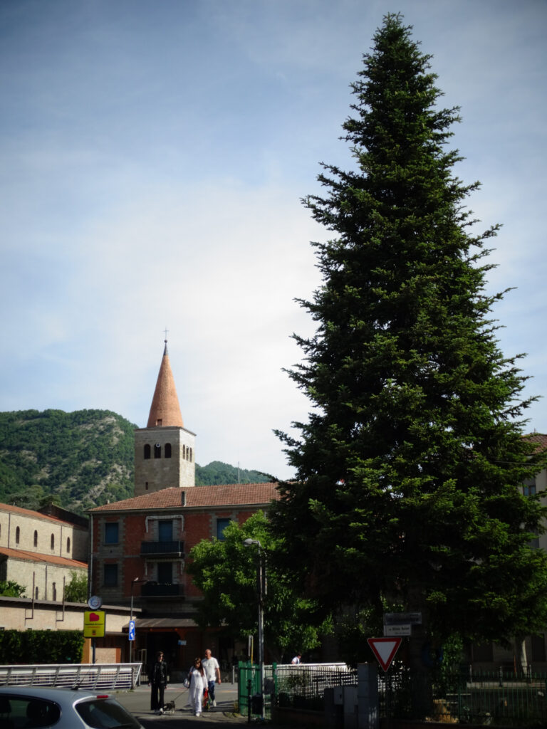 Sabbatini_14
